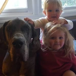 Meet your Posher, Kristen